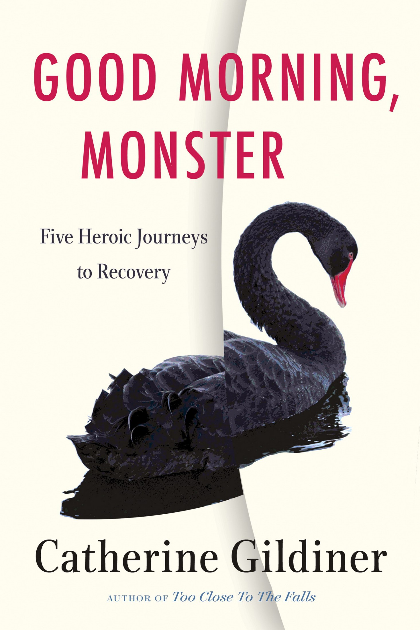 Good Morning, Monster: A Therapist Shares Five Heroic Stories of Emotional Recovery